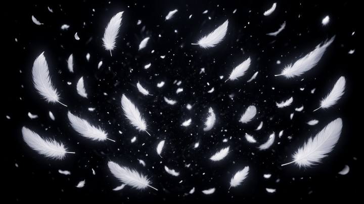 羽雪